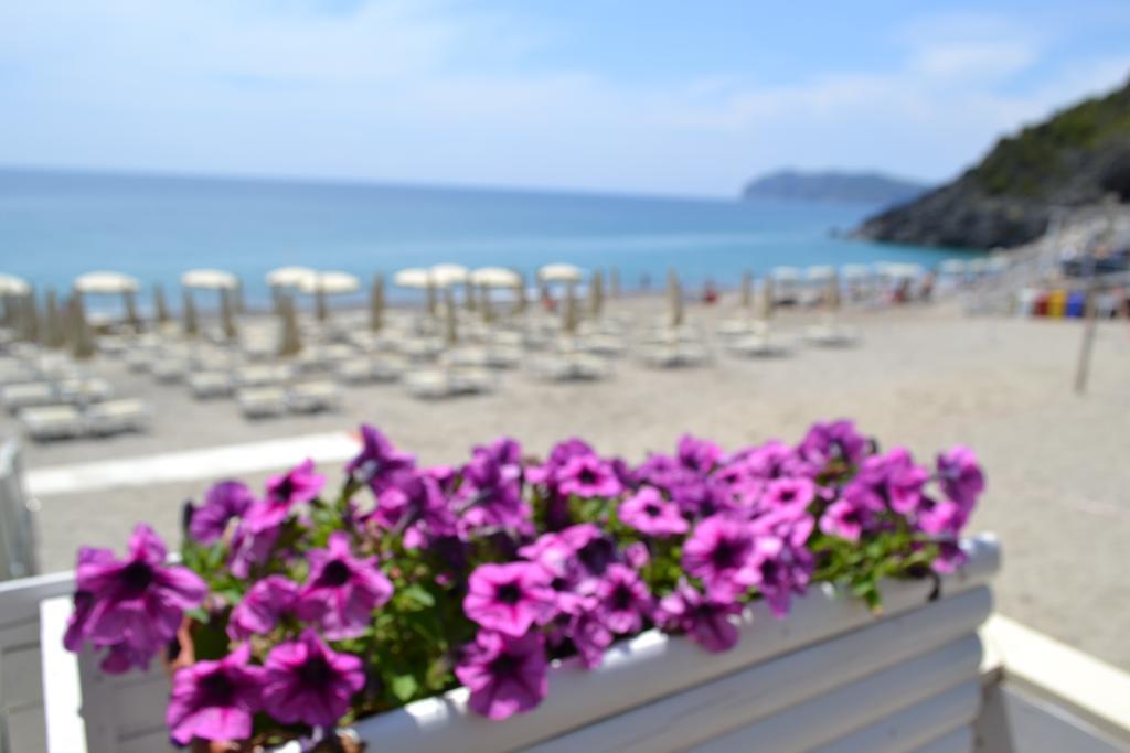 Villaggio Garden Park Marina di Camerota Εξωτερικό φωτογραφία