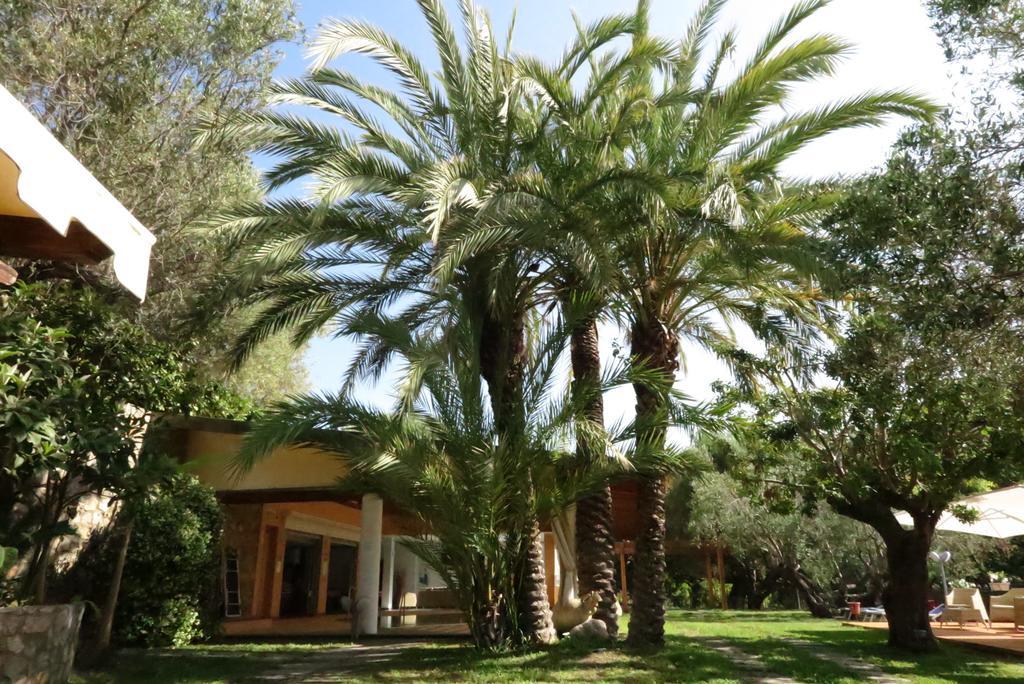 Villaggio Garden Park Marina di Camerota Εξωτερικό φωτογραφία